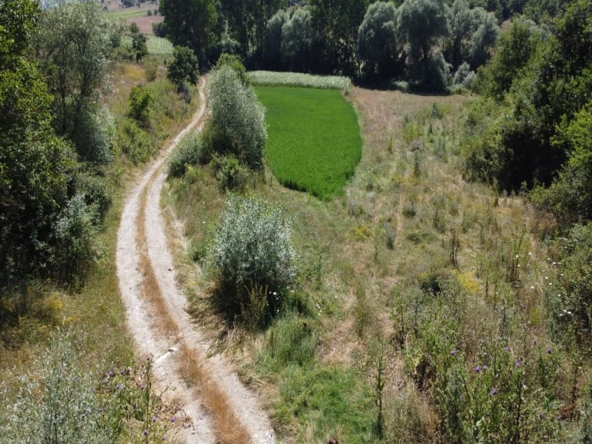 Fotoğraf