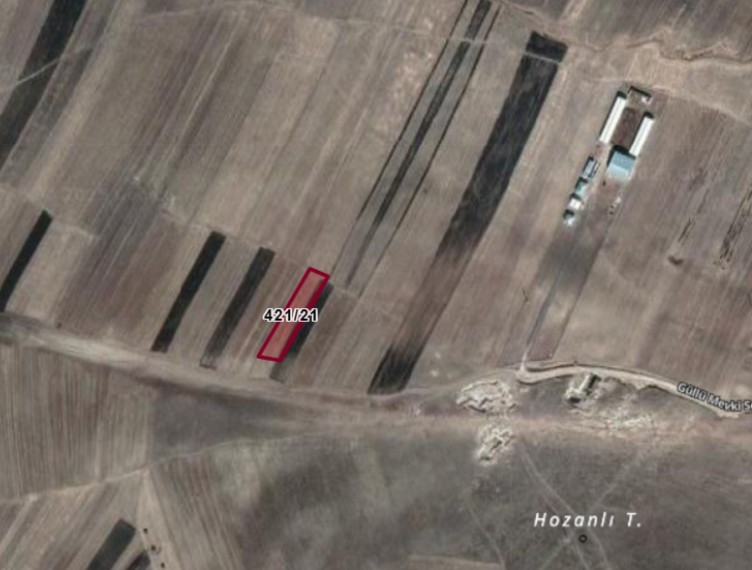 Fotoğraf