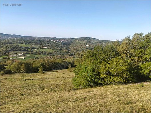 Fotoğraf