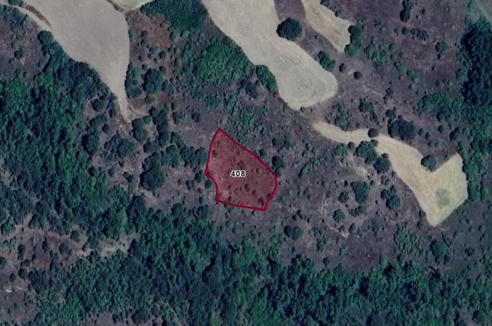 ÇORUM ALACA İMAT   KÖYÜNDE 1.800  M²  BAĞ  SATILIKTIR