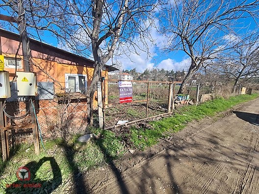 Fotoğraf