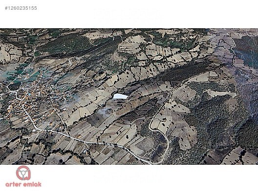 Fotoğraf