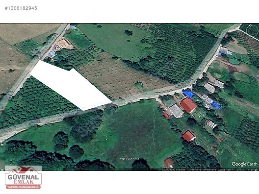 GÖLKÖYDE ÇİFT YOL CEPHELİ FINDIK BAHÇESİ 1729 M2 TEK TAPULU