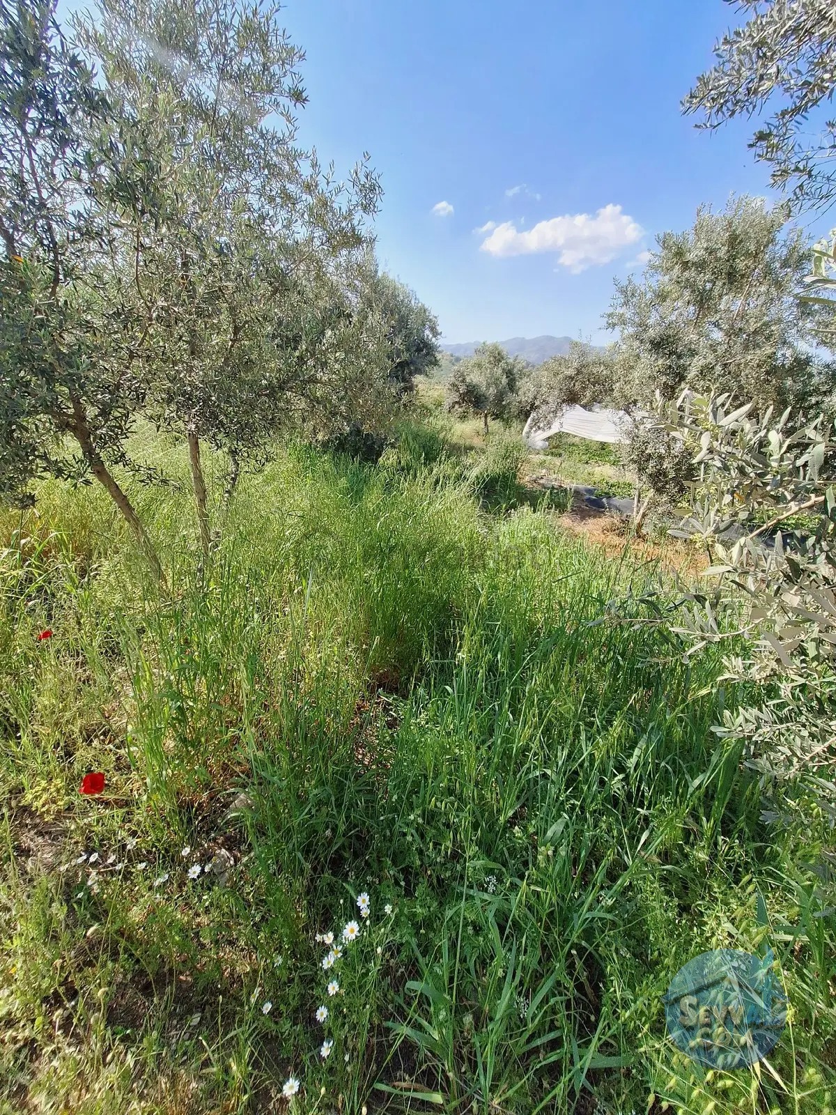 İlan Fotoğrafı