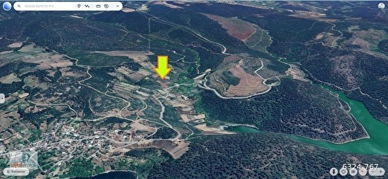 Fotoğraf