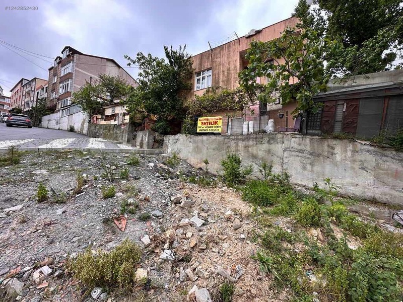 Fotoğraf