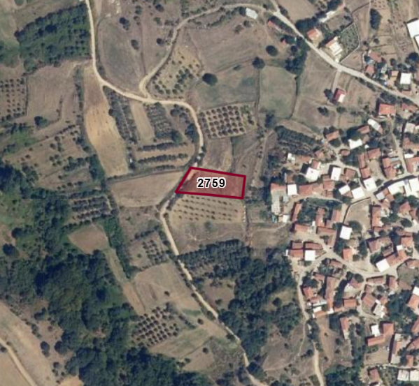 Fotoğraf