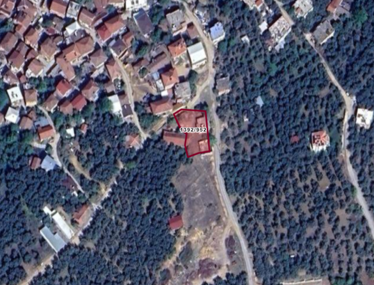 Fotoğraf