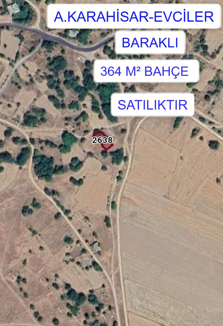 Fotoğraf
