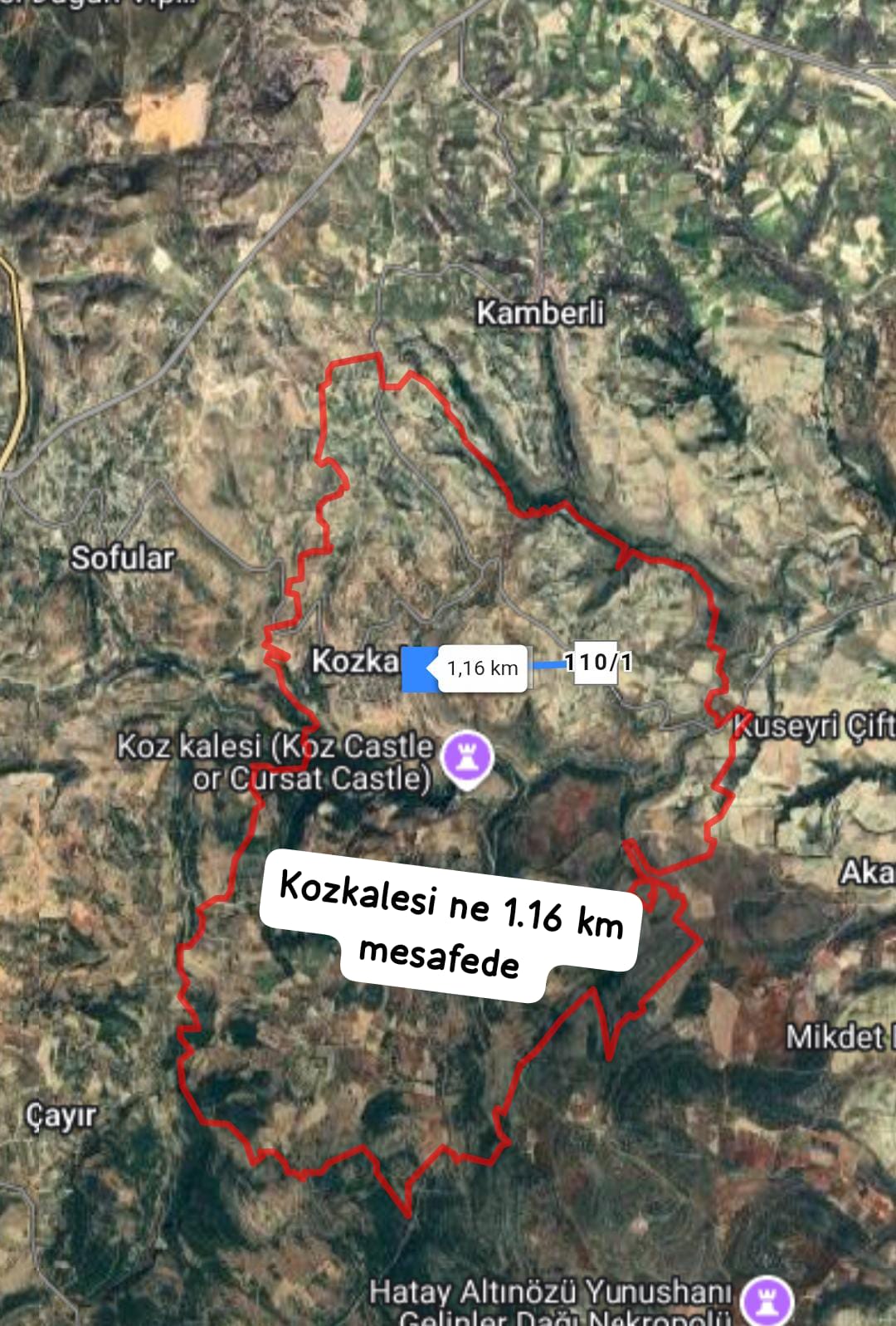 Fotoğraf