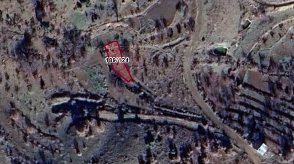 Fotoğraf
