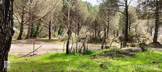 İlan Fotoğrafı