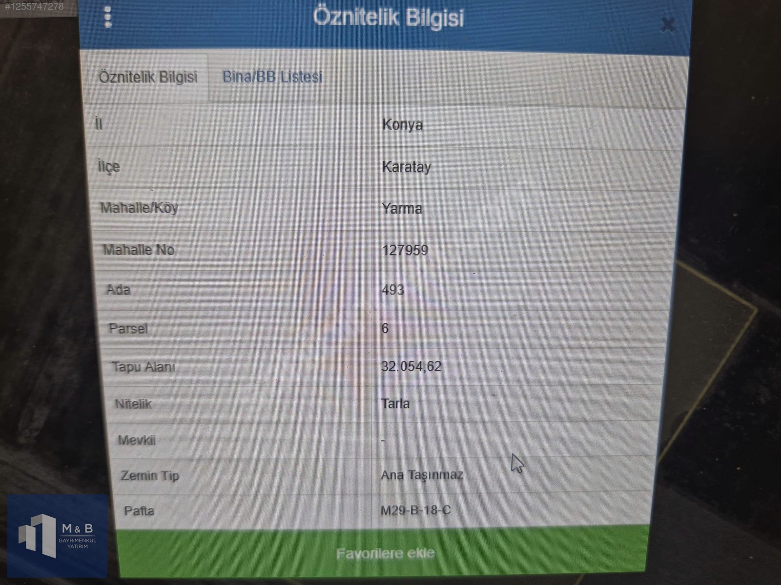 Fotoğraf