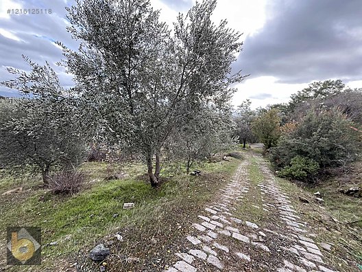 İlan Fotoğrafı