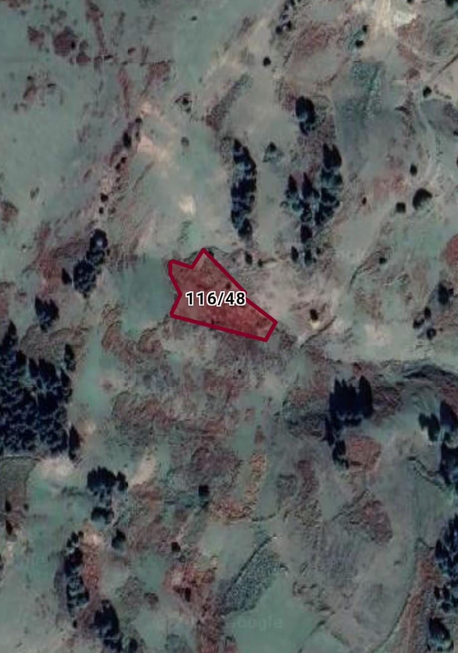 Fotoğraf