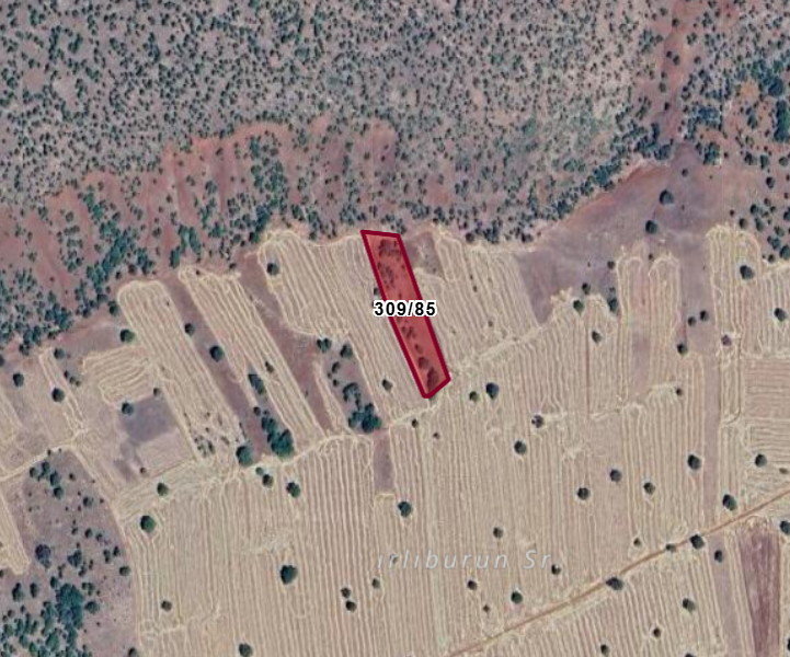 KONYA GÜNEYSINIR KIZILÖZ  KÖYÜNDE  2.521   M²  TARLA  SATILIKTIR