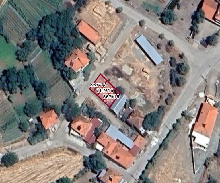 Fotoğraf