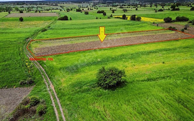 Fotoğraf