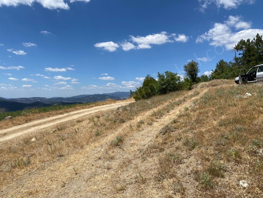 Fotoğraf
