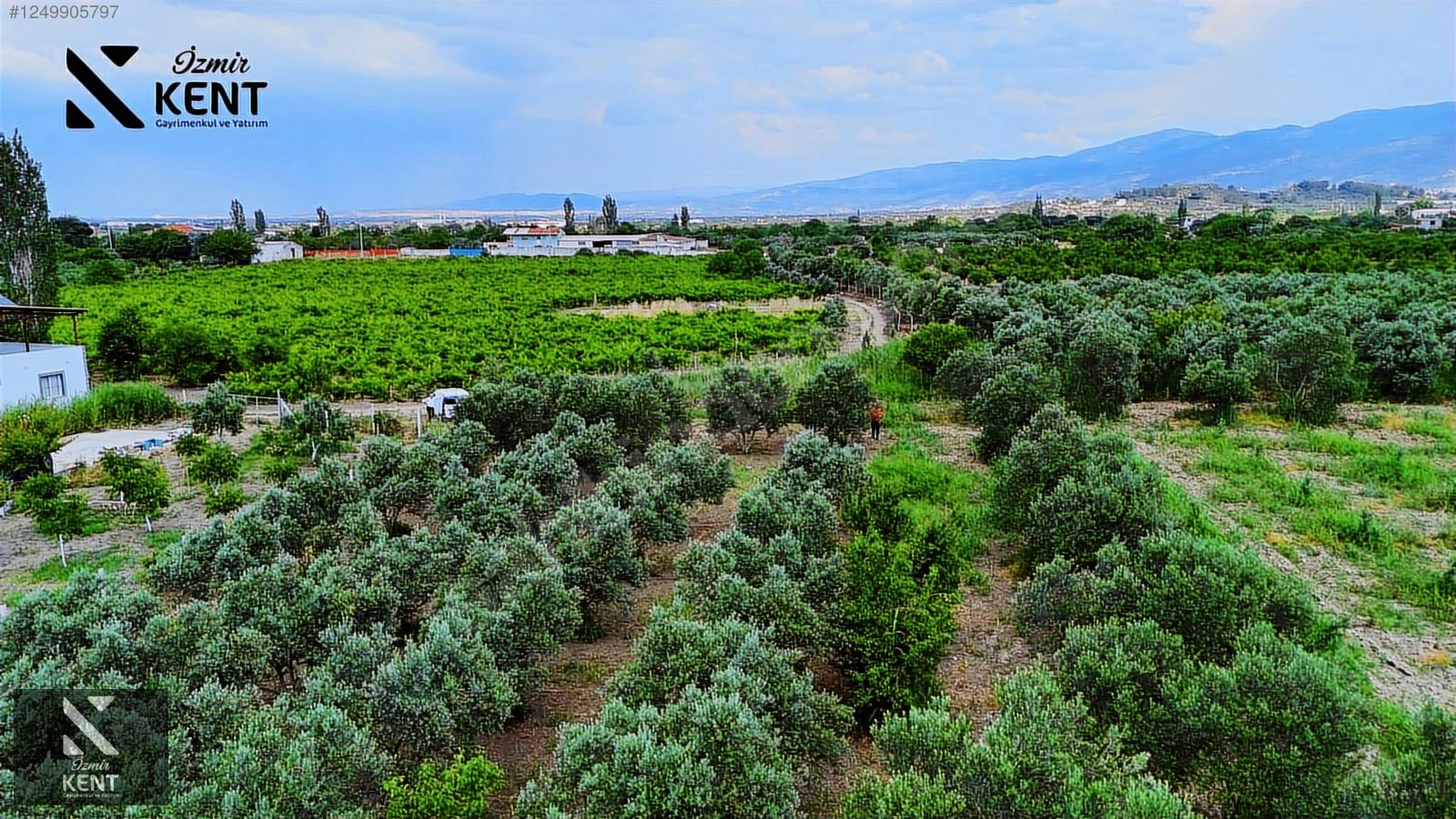 Fotoğraf