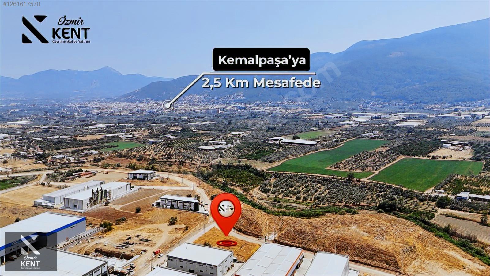Fotoğraf