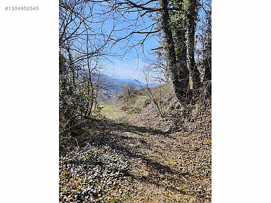 Gölcük Nüzhetiyede 2605m² Yatırımlık Fırsat Arazi