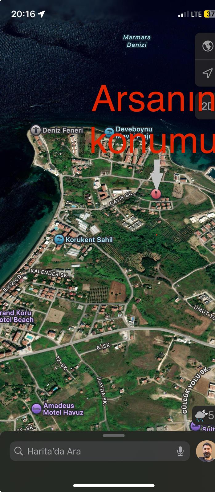 Fotoğraf