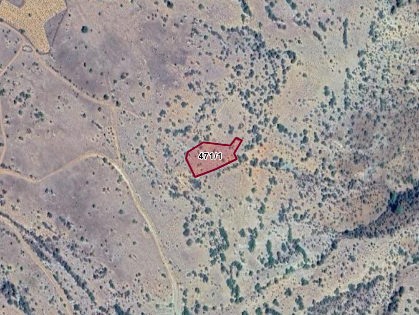 KONYA HADİM GÖYNÜKKIŞLA    KÖYÜNDE 2.688  M²  BAĞ  SATILIKTIR