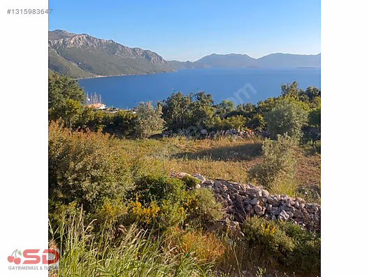 AÇIKLAMAYI OKUYUN LÜTFEN ARSALAR 