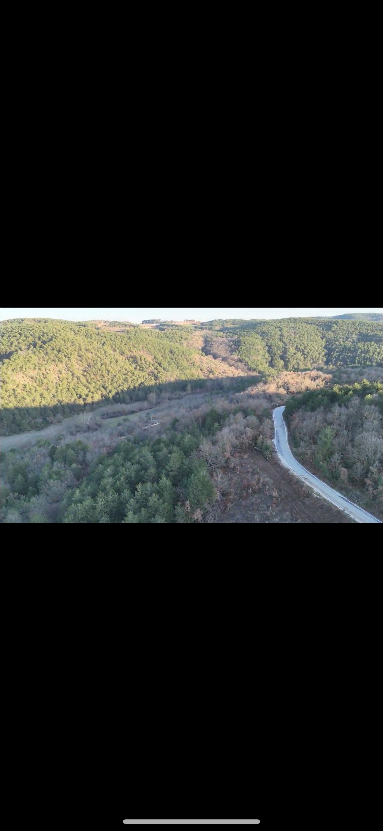 Fotoğraf