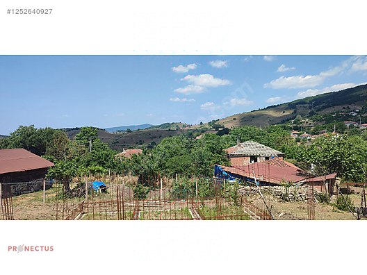 İlan Fotoğrafı