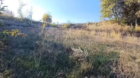 ÇAĞLAR'DAN TOPRAKDERE DE 823m2 MÜSTAKİL TARLA YOL+SU VAR