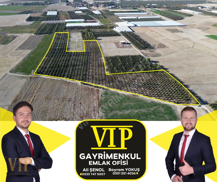 VİP GAYRİMENKUL'den BAYRALAR MAH. 29.648 m² ELMA-ARMUT BAHÇESİ