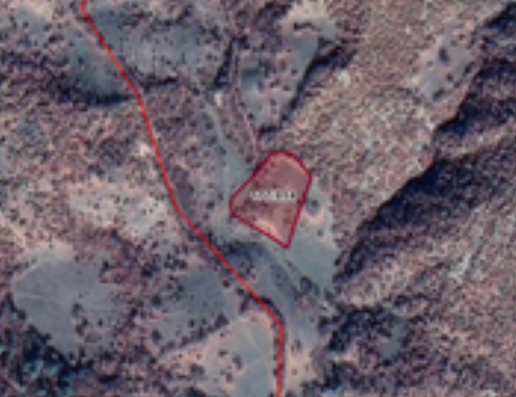 Fotoğraf