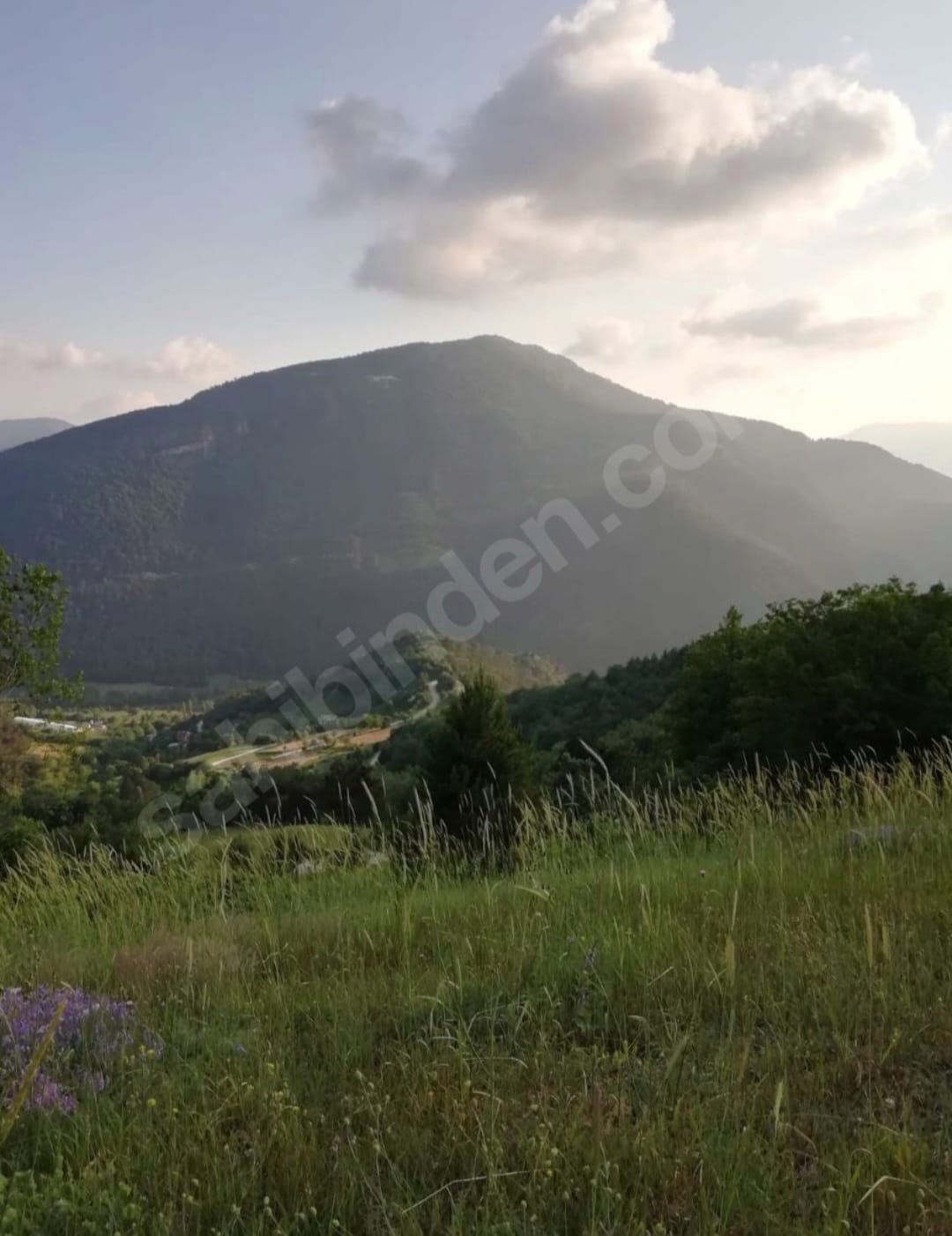 Fotoğraf