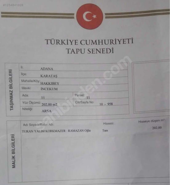Fotoğraf