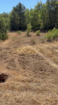 BİLECİK YENİPAZAR BATIBELENÖREN KÖYÜ SATILIK TARLA