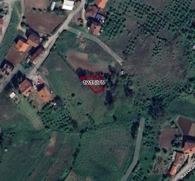 Fotoğraf