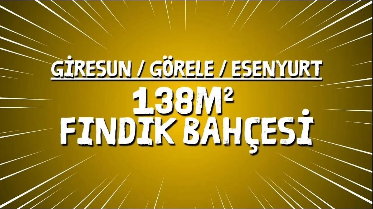 Fotoğraf