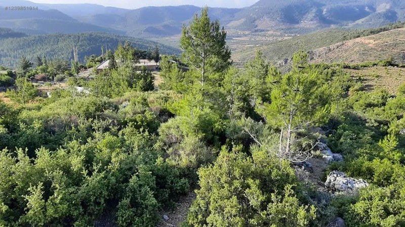 İlan Fotoğrafı