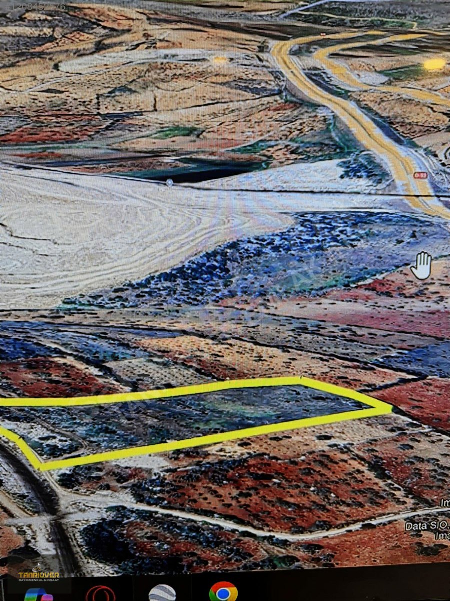 Fotoğraf