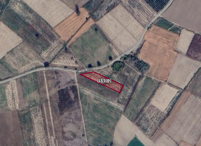 Fotoğraf