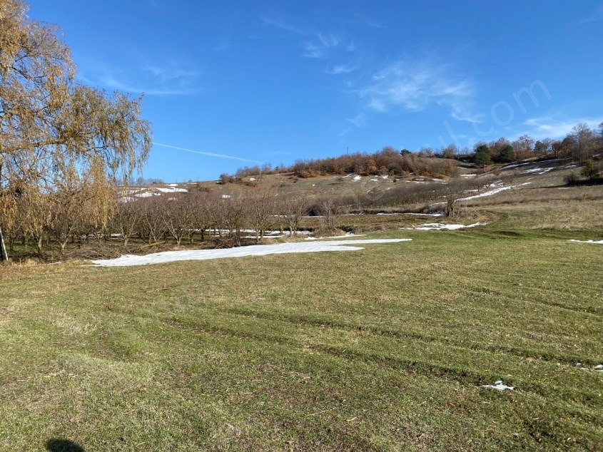 Fotoğraf