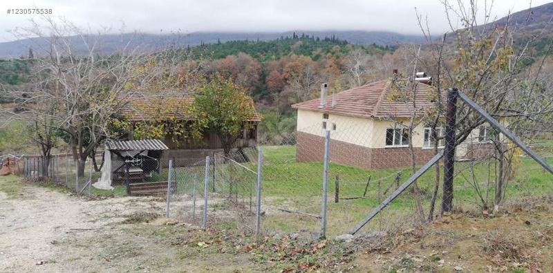 Fotoğraf