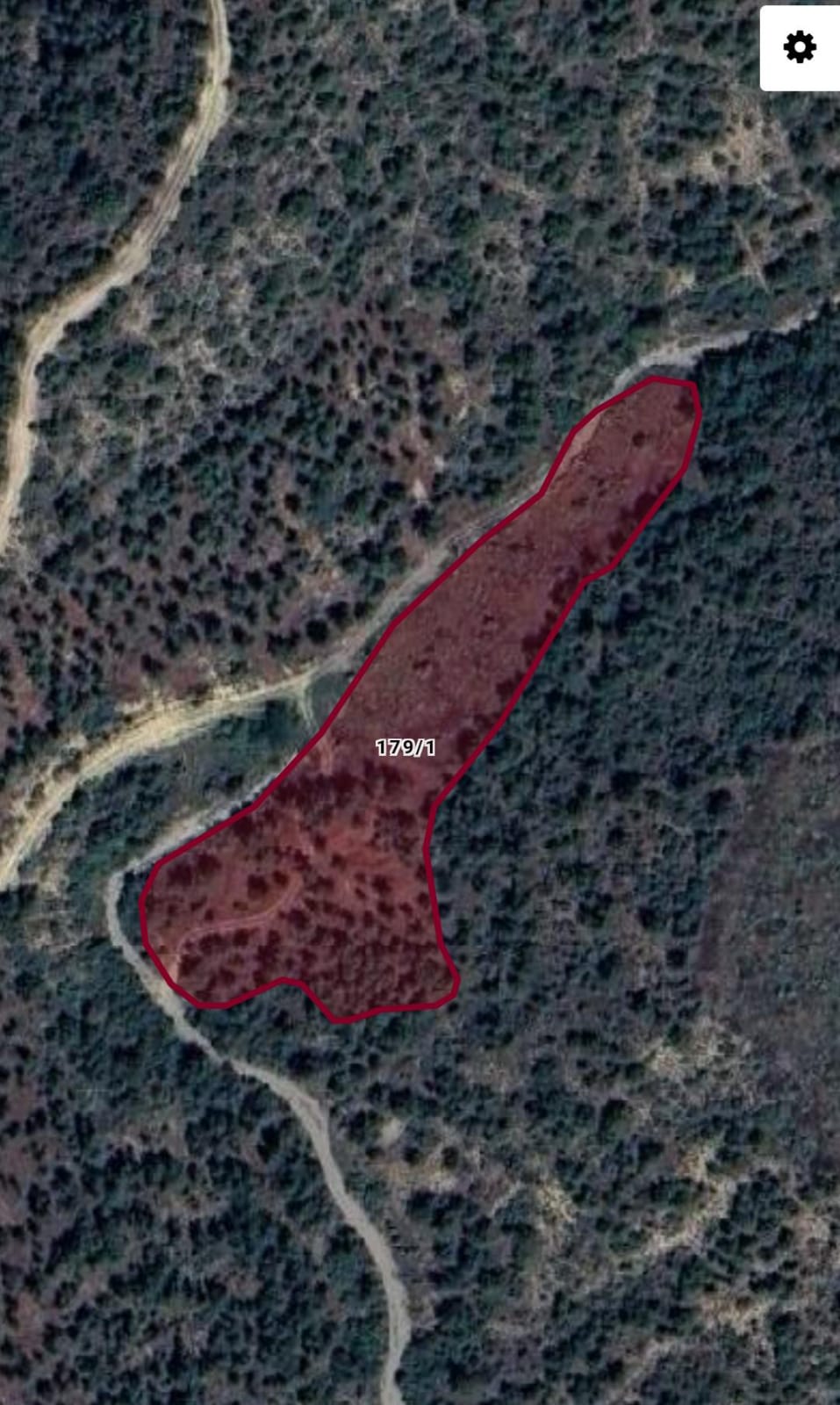 Fotoğraf