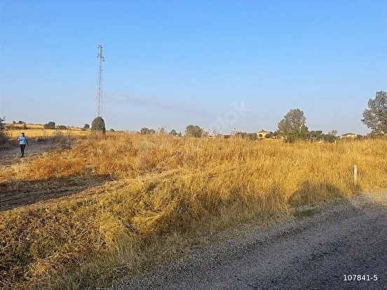 Fotoğraf