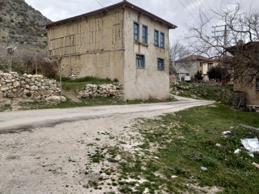 Fotoğraf