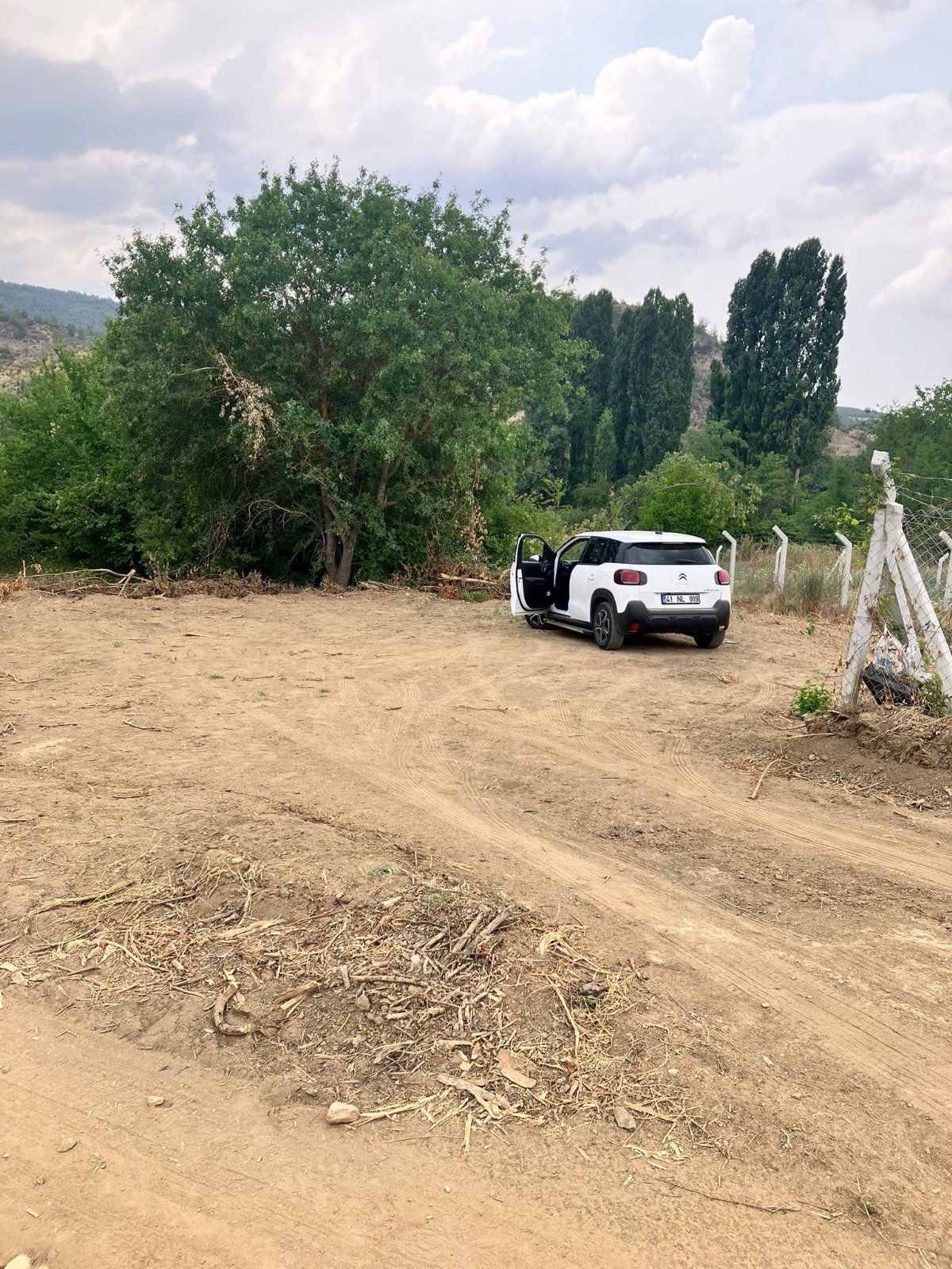 Fotoğraf