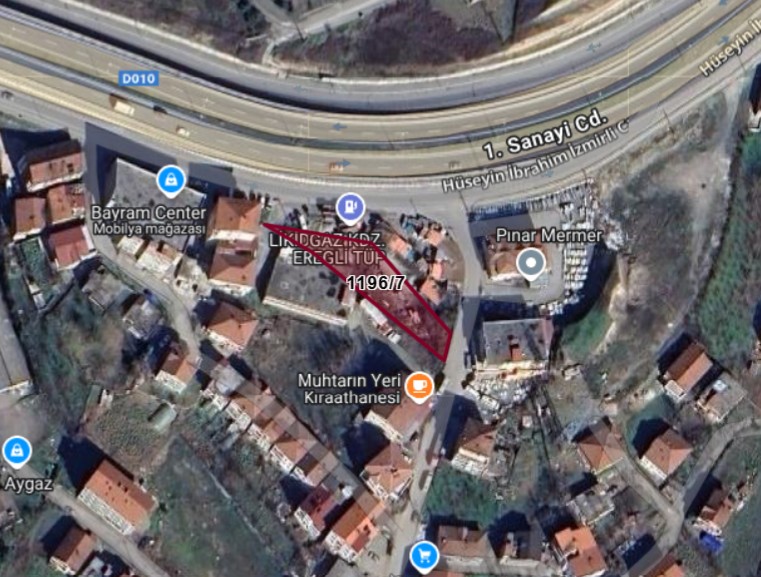 Fotoğraf
