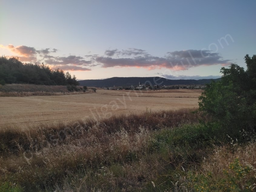Fotoğraf